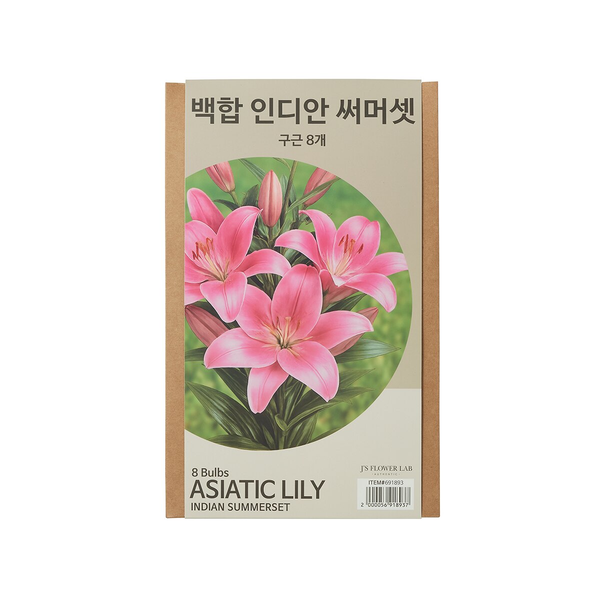 릴리 아시아틱 구근 / 최소구매 2 - 인디안써머셋 릴리 아시아틱 구근 / 최소구매 2 - 인디안써머셋