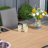 선빌라 사라 다이닝 세트 7-piece