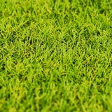 아이리스 인조잔디 30mm, 1.14 x 1.7m