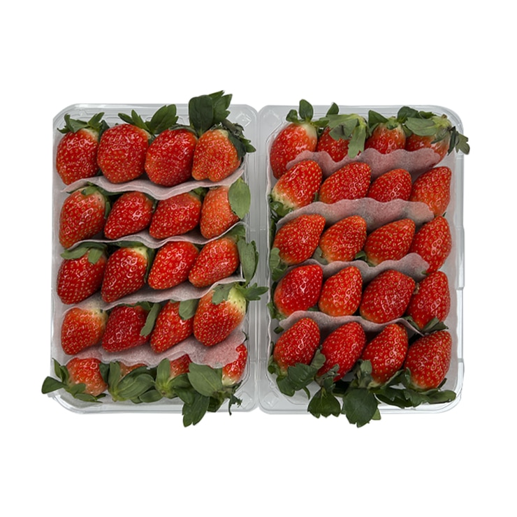 딸기 500g X 2팩