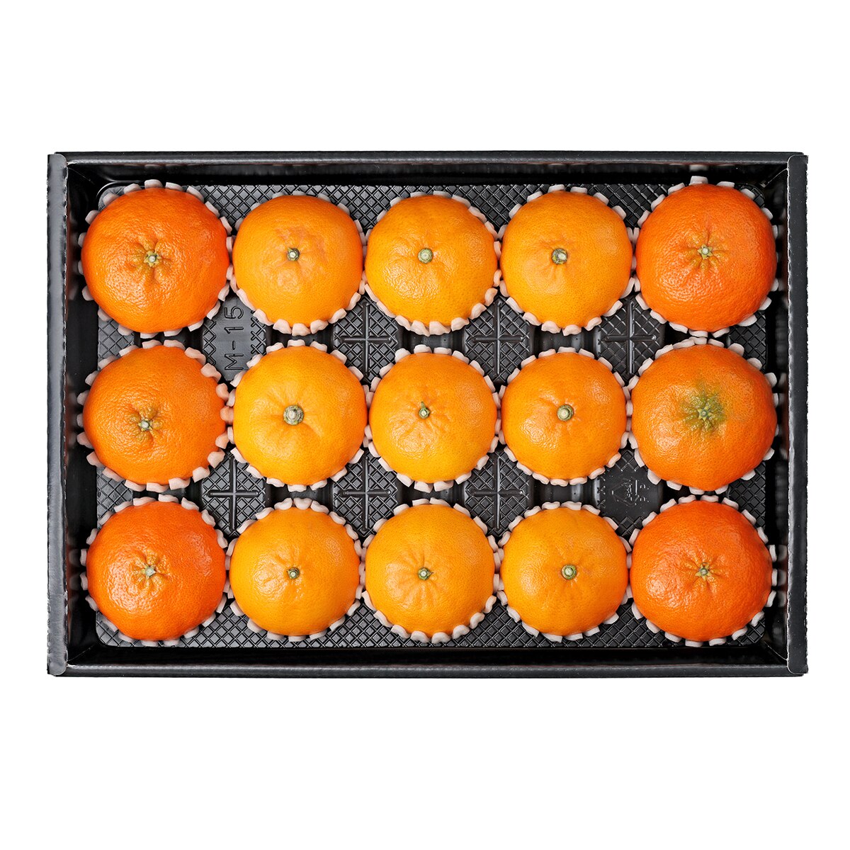 천혜향 & 레드향세트5kg