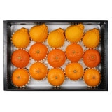 제주 명품 특선 세트5kg (15-18입)