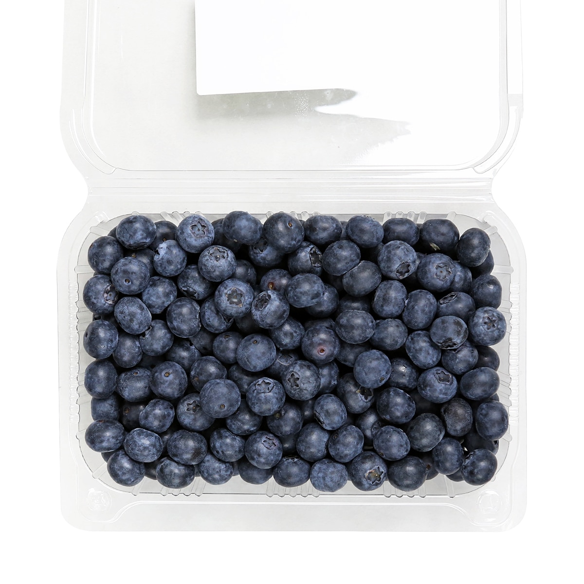 블루베리 500g