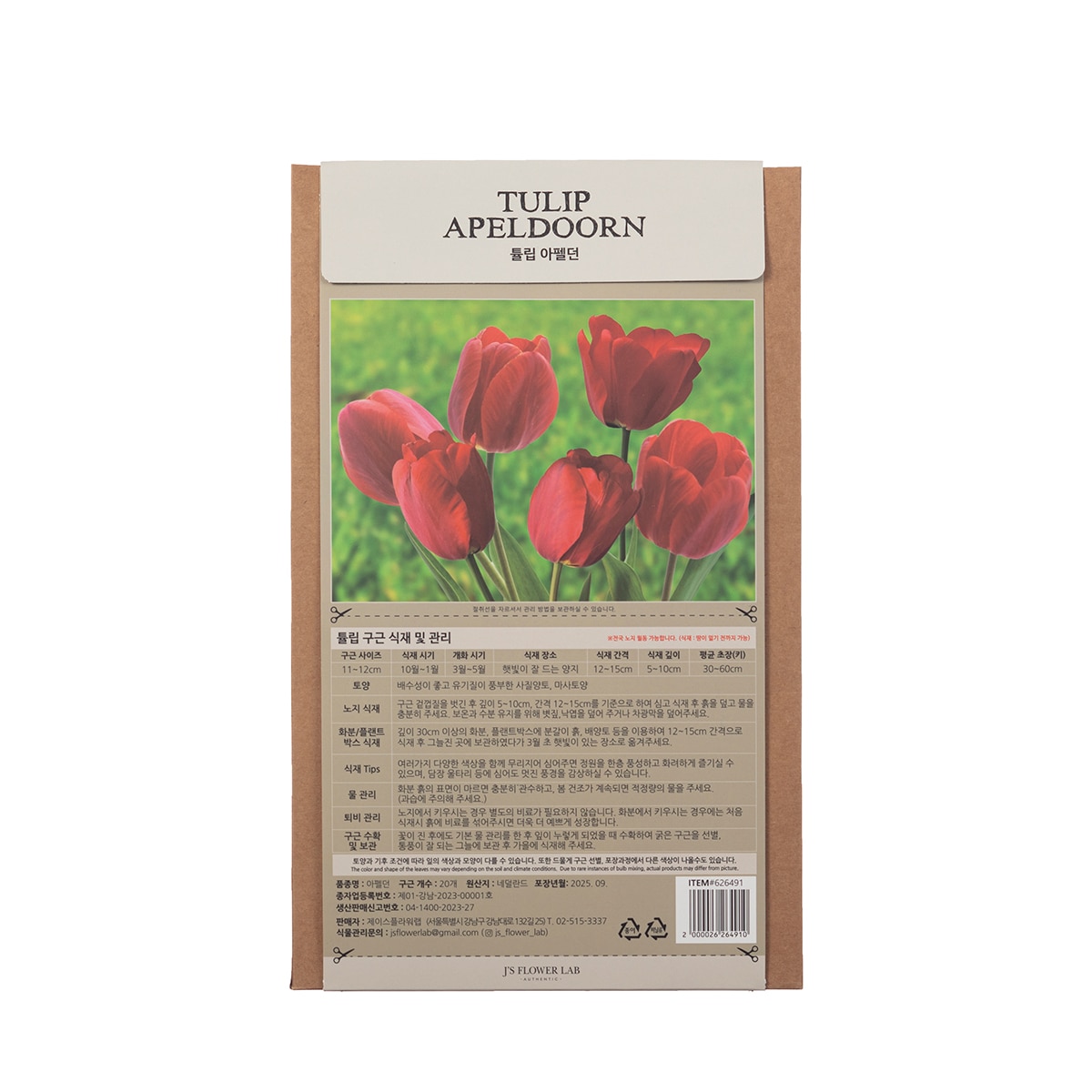 튤립 구근 / 최소구매 2 - 아펠던 튤립 구근 / 최소구매 2 - 아펠던