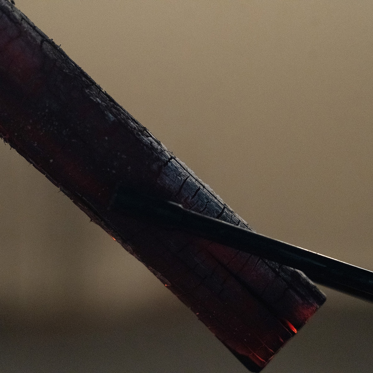 파이어폭스 맹그로브 참숯 10kg