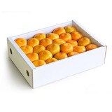 하우스 밀감 3kg
