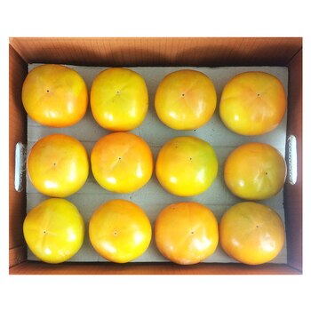 단감 10kg 단감 10kg