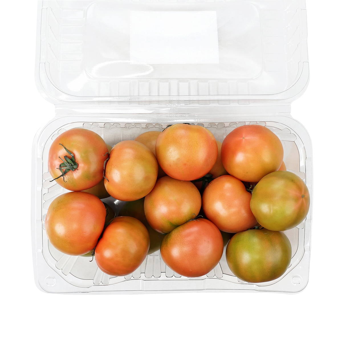 찰토마토 5kg