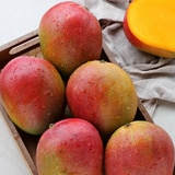 망고 2종 혼합 선물세트3.7kg(7~9입)