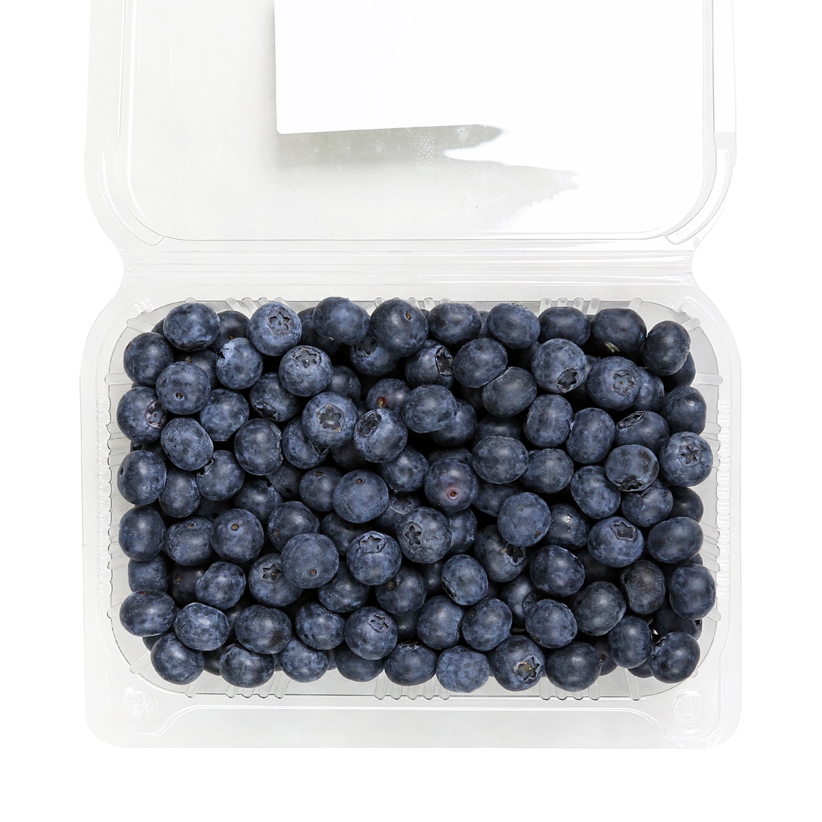 국내산 블루베리 500g