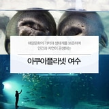 아쿠아플라넷 이용권 (여수점) 아쿠아플라넷 이용권 (여수점)