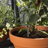 가데나 홀리데이 워터링 세트