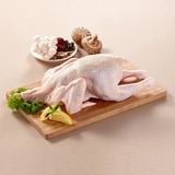 토종닭 1.3kg