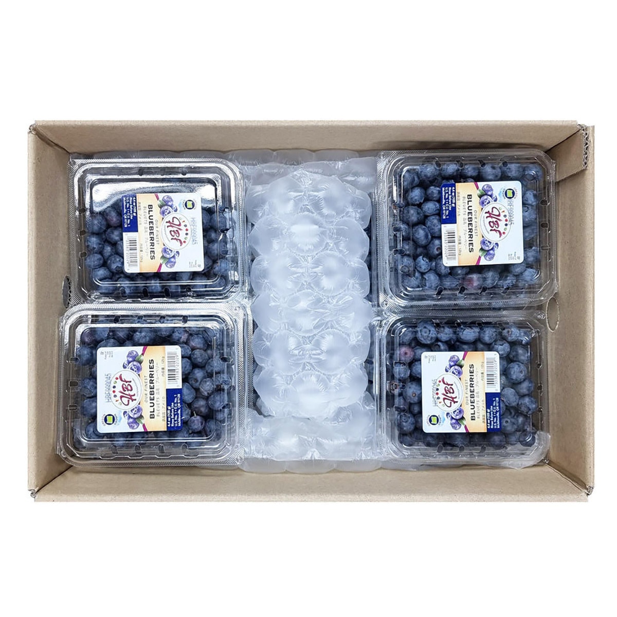 블루베리 125g x 10