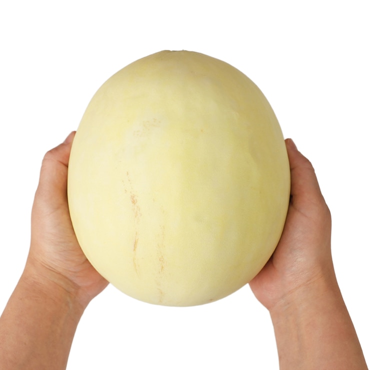 허니듀 멜론 5KG (3입) 허니듀 멜론 5KG (3입)