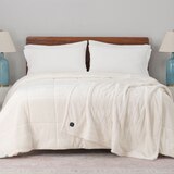 Berkshire 전기 담요 127 x 152cm - 크림