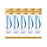 센소다인 멀티케어 EX 치약 100g x 5개 센소다인 멀티케어 EX 치약 100g x 5개