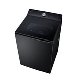 LG 통돌이 세탁기 19kg - 오닉스 블랙