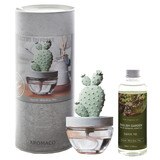 아로마코 선인장 디퓨저 100ml + 리필 200ml - 잉글리쉬 가든