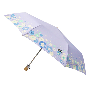 카카오 프렌즈 블로썸 자동우산