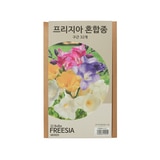 프리지아 구근 / 최소구매 2