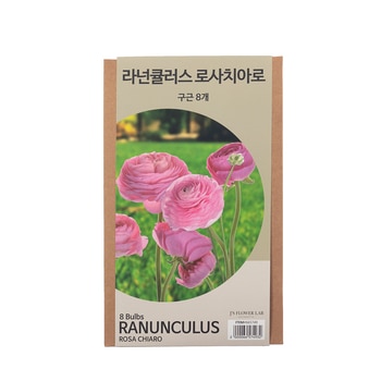 라넌큘러스 구근 / 최소구매 2