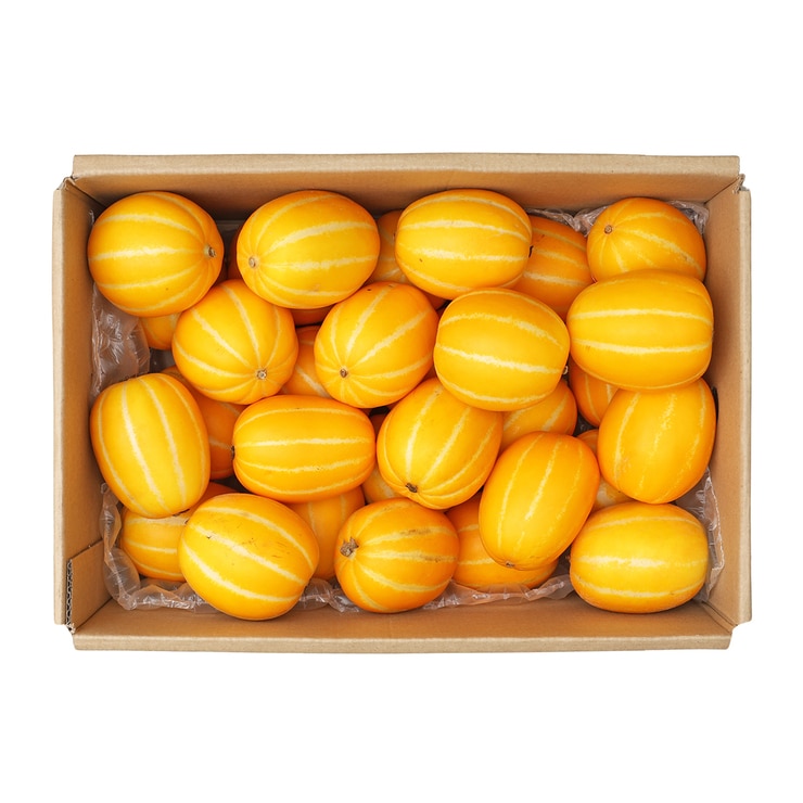 미니 참외 5KG 미니 참외 5KG