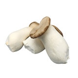 무농약새송이버섯900g x 2ct