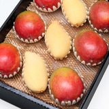 망고 2종 혼합 선물세트3.7kg(7~9입)