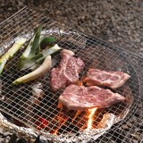 파이어폭스 BBQ 석쇠 5개입 / 최소구매 2