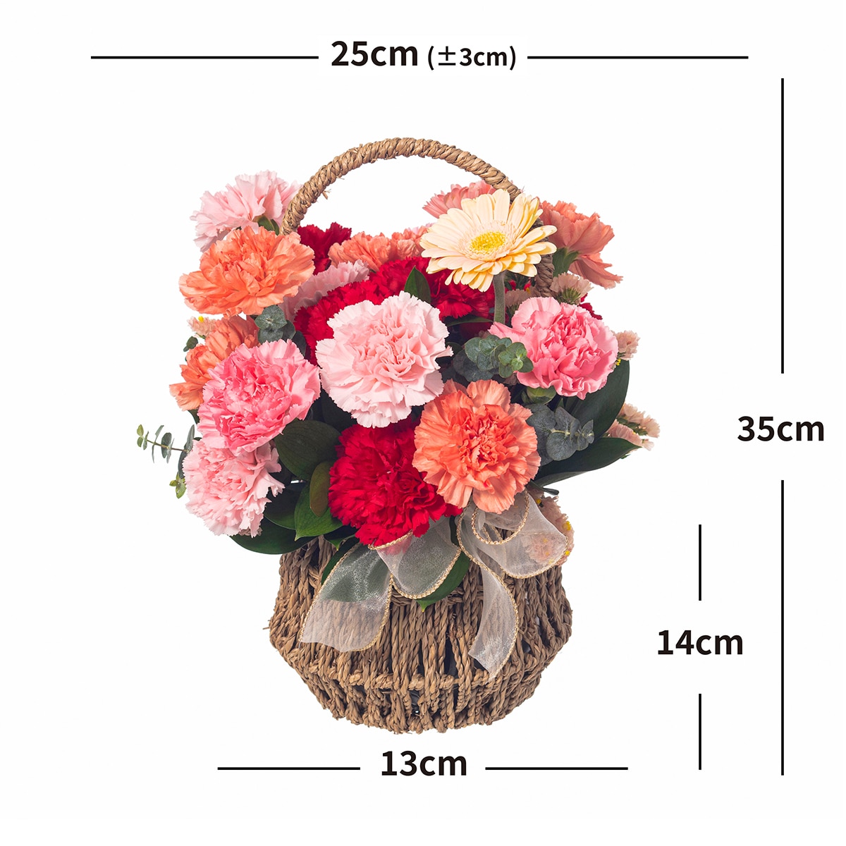 [서울/경기배송] 카네이션 바구니