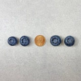 블루베리 125g x 10