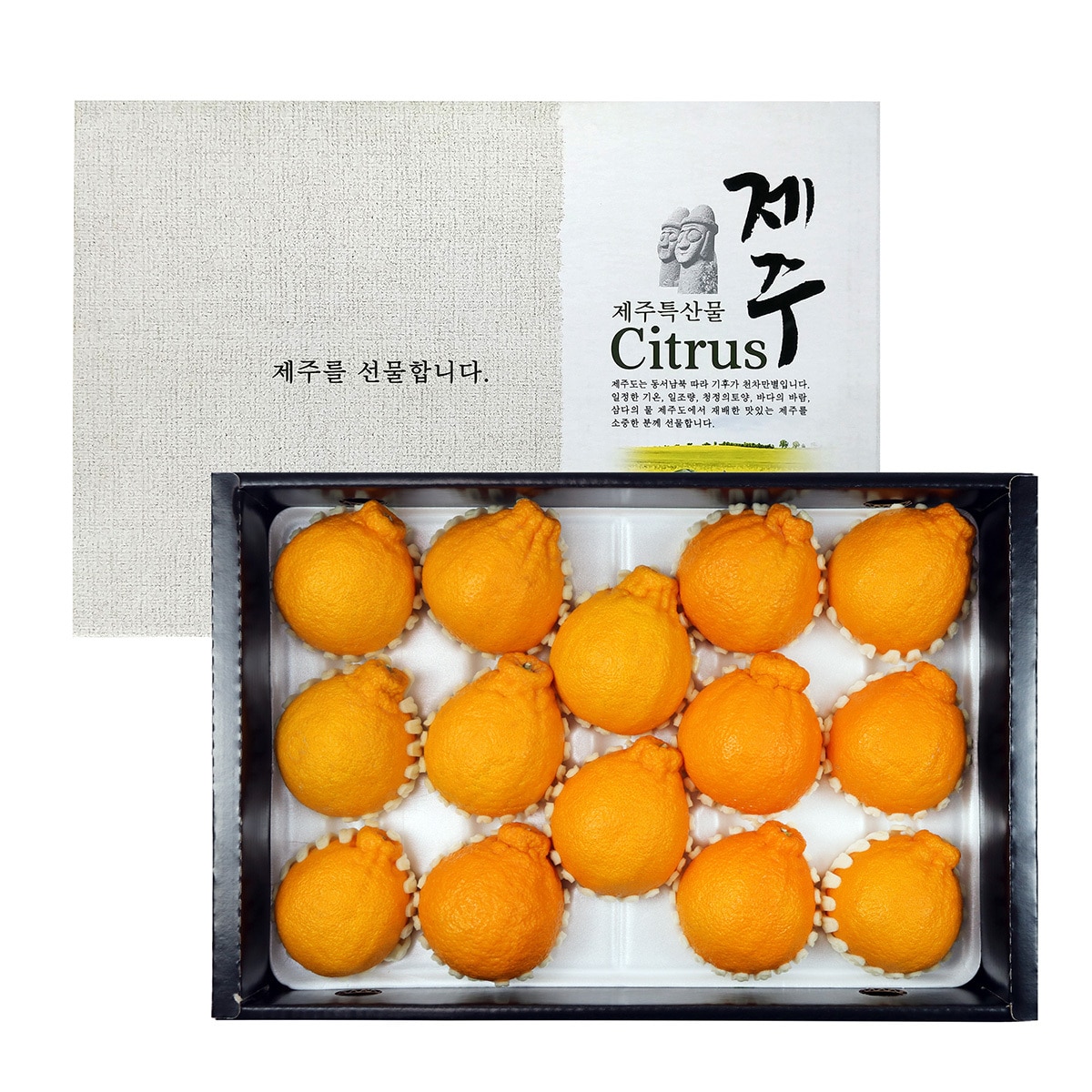 제주 한라봉선물세트 5kg(9~16입)