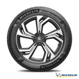 미쉐린 파일럿 알핀 5 SUV 265/55R19 113H XL