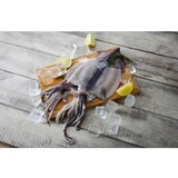 냉동손질오징어 1.5kg