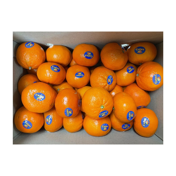 미국산큐티만다린3kg 미국산큐티만다린3kg