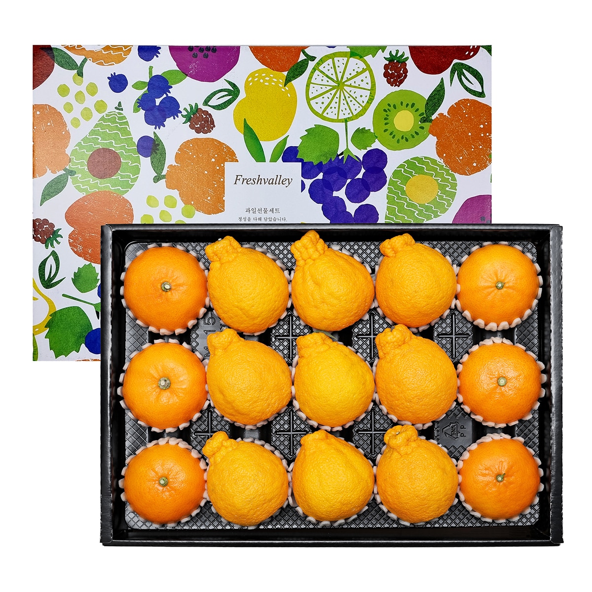 천혜향&한라봉세트5kg