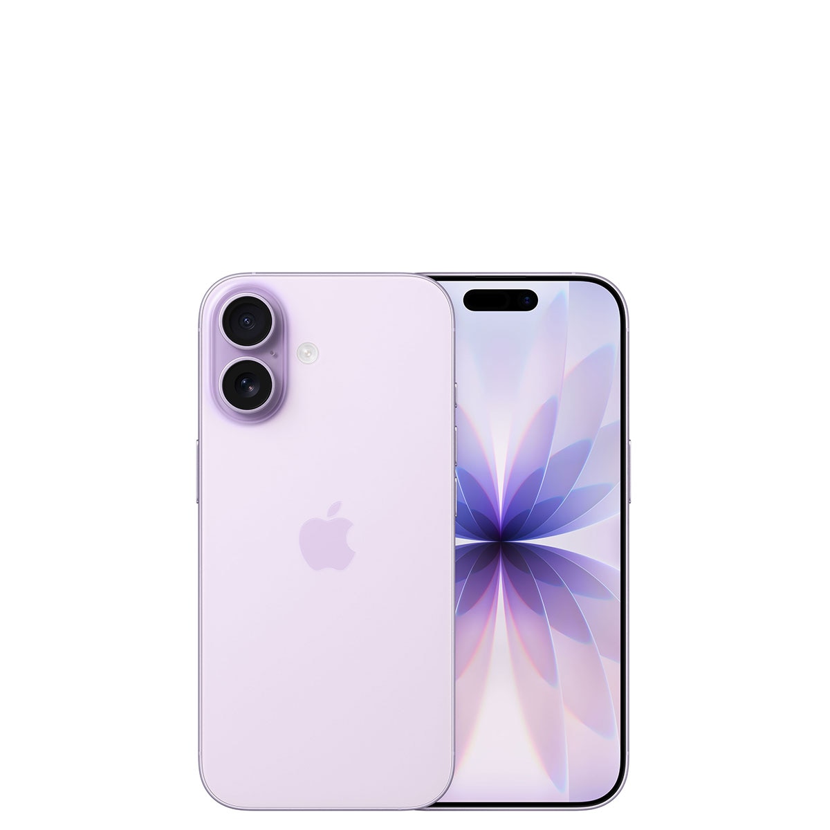 Apple 아이폰 17 256GB