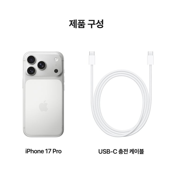 Apple 아이폰 17 프로 256GB 실버