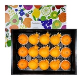 천혜향&한라봉세트5kg