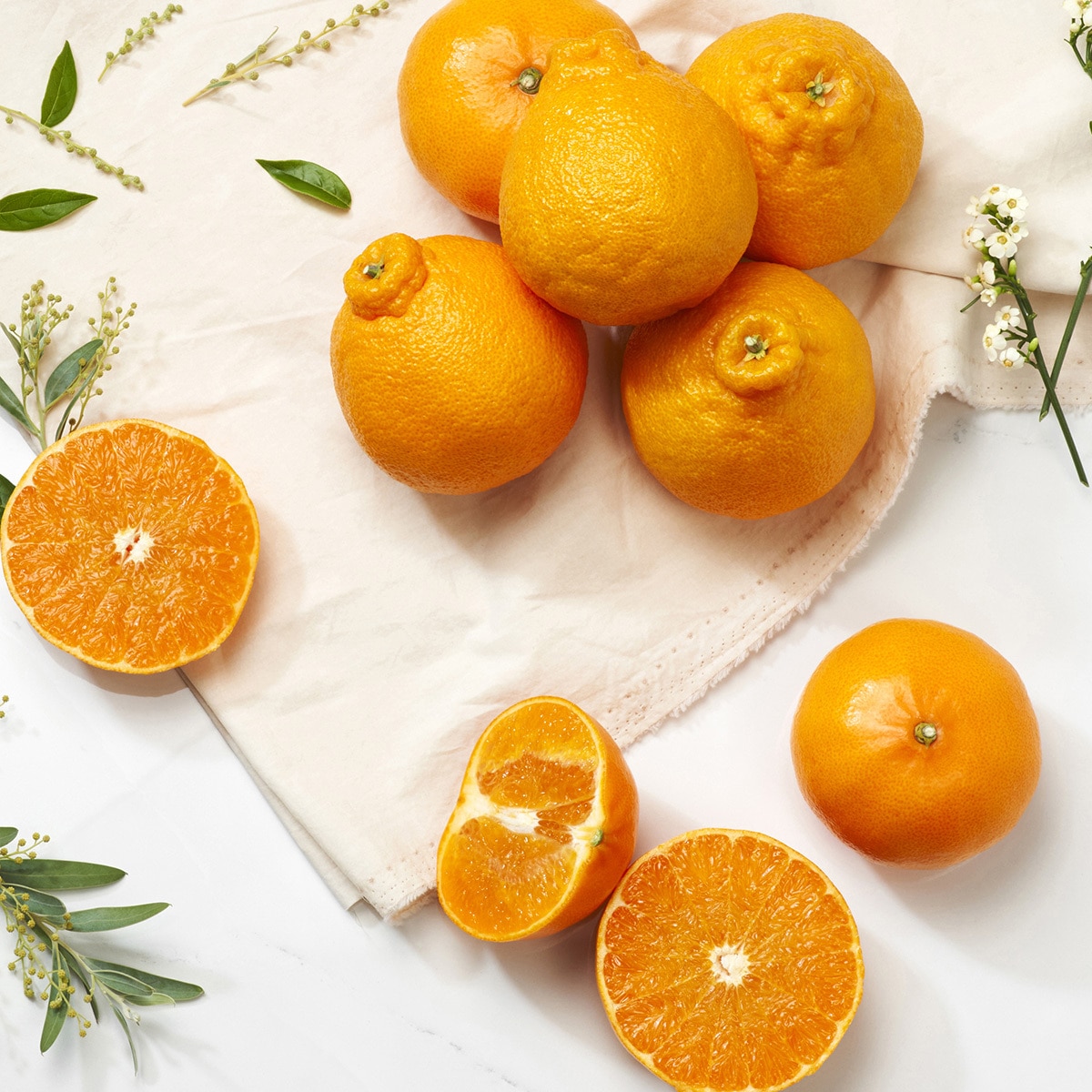 제주 명품 특선 세트5kg (15-18입)