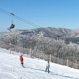 휘닉스파크 스키 리프트 라이트패스 4시간 이용권