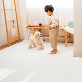 펫노리터 애견매트 140cm x 200cm x 0.55cm 펫노리터 애견매트 140cm x 200cm x 0.55cm