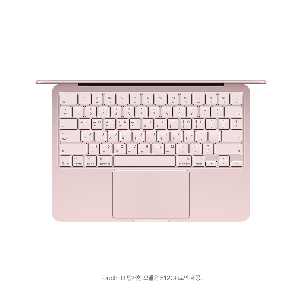 Apple 맥북 네오 13 A18 Pro 512GB 블러시(Touch ID)