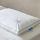 씰리 스탠다드 베개 2P