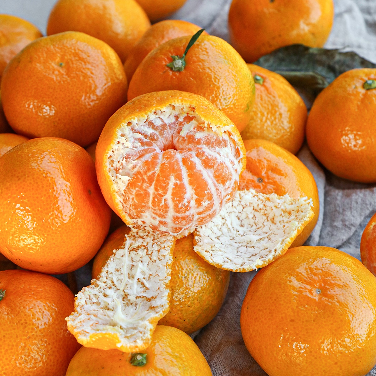 귤림원 감귤세트 5kg