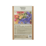 프리지아 구근 / 최소구매 2