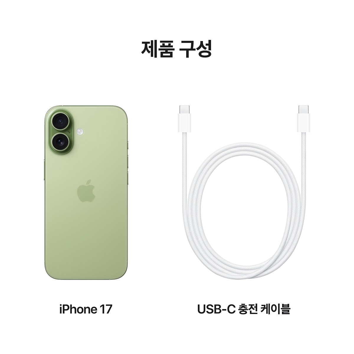 Apple 아이폰 17 256GB 세이지