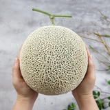 멜론 선물세트 8kg