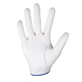 PGA Tour 남성 왼손잡이용 골프장갑 3개(오른손 착용) - 22호(18cm)